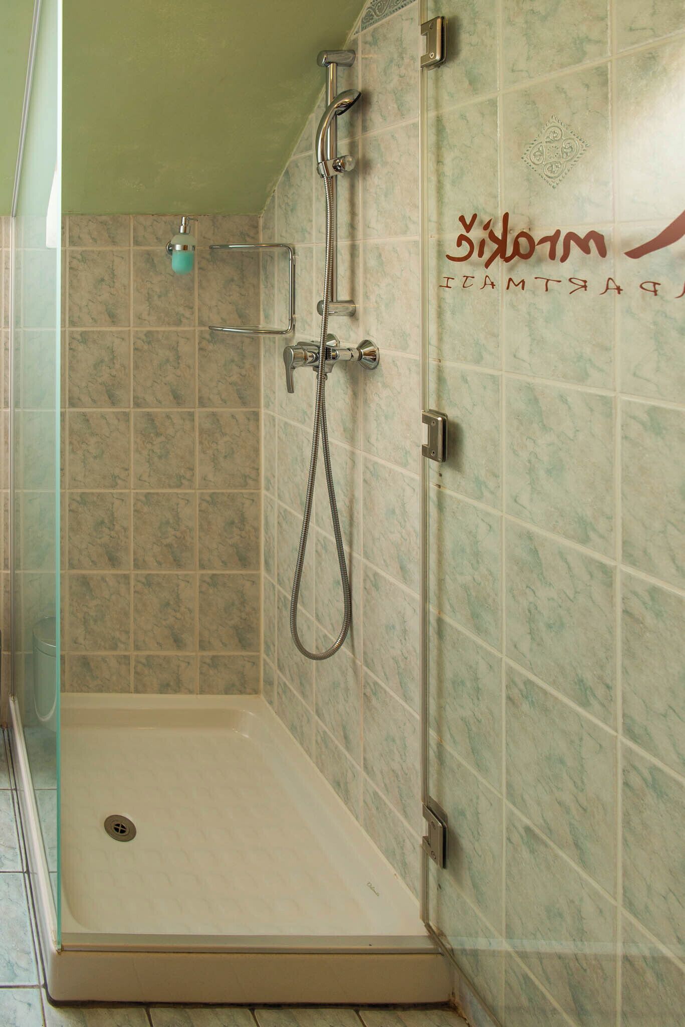 A shower area with a glass door, a handheld showerhead, and a wall-mounted faucet.