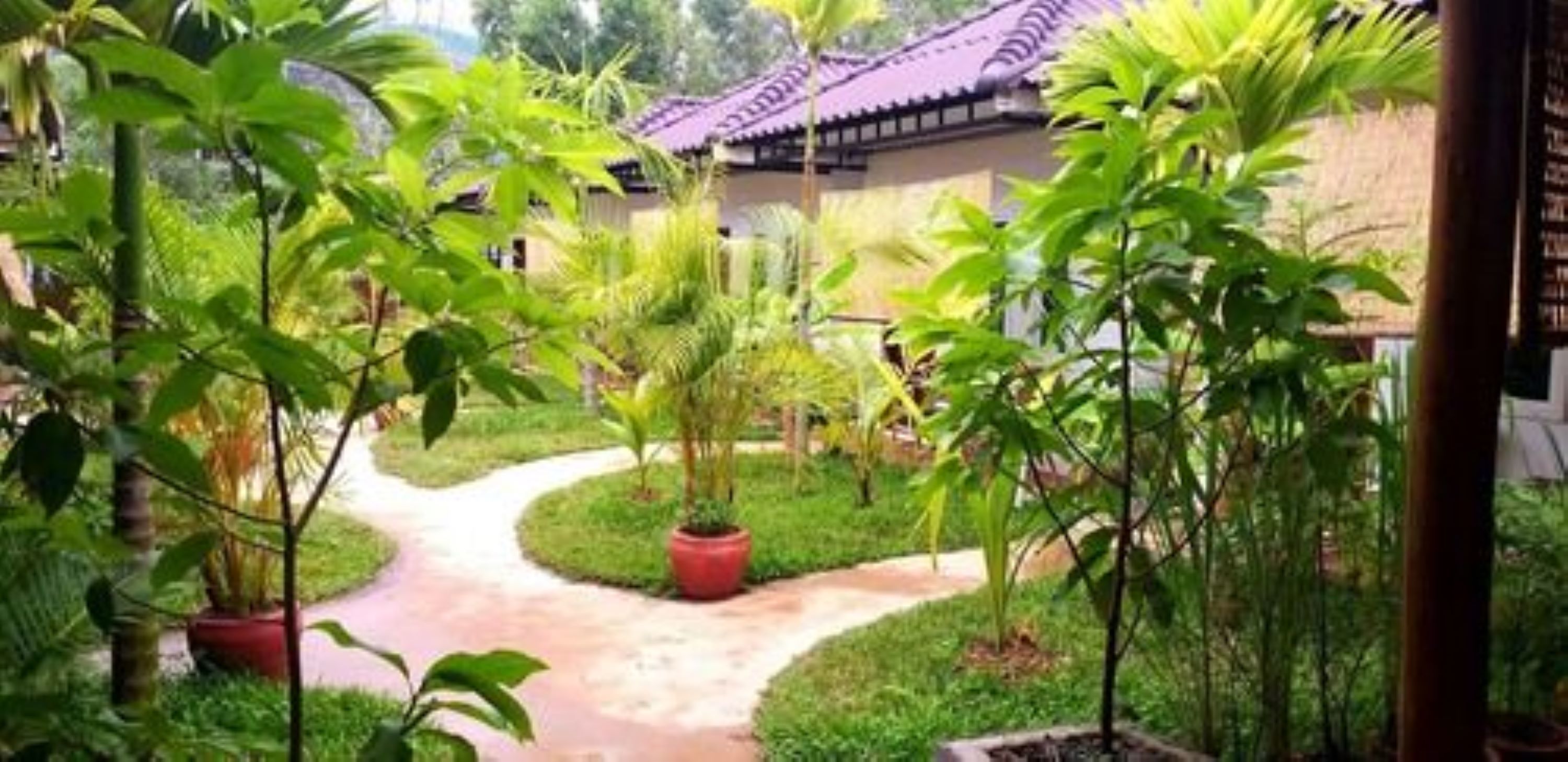 A garden pathway leading to a building with a tiled roof.