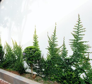 Garden view - Menlyn Apartments (Pretoria)