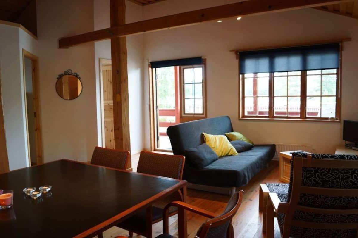 A cozy room with a wooden dining table, a sofa with cushions, and a television.