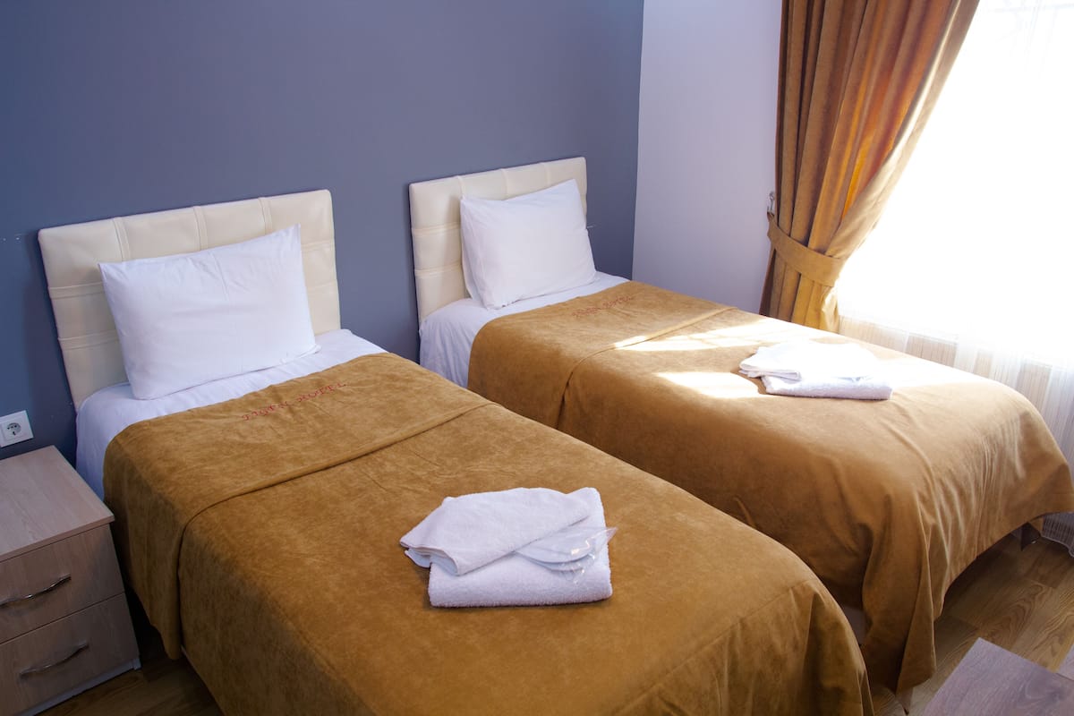 Double or Twin Room | Minibar, desk, soundproofing, free WiFi
