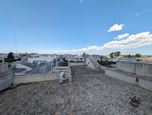 A rooftop terrace with a view of surrounding buildings, a satellite dish, and a potted plant. - Oikia Vacanze Diso Chiara (Diso)