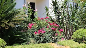A lush garden with various plants and flowers, including pink blooms and green foliage. - B&B Il Cavaliere (Ricadi)