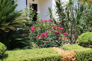 Jardín