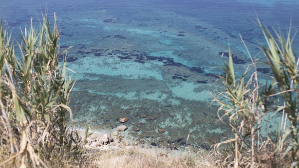A clear view of a coastal area with shallow waters revealing the seabed, a boat in the distance, and some vegetation in the foreground. - B&B Il Cavaliere (Ricadi)