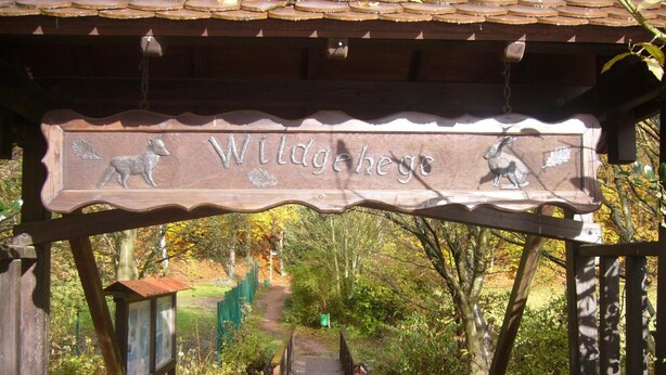 Un letrero de madera con tallas de animales y el texto "Wildehege" sobre un sendero que se adentra en un área boscosa.