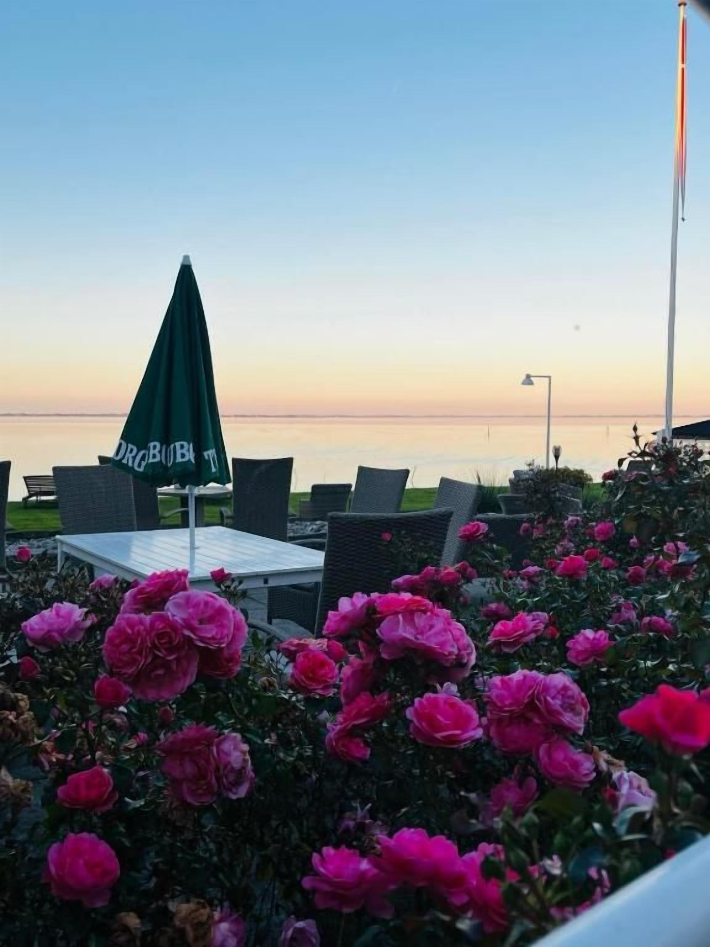 An outdoor seating area with tables and chairs, surrounded by pink flowers, and a view of the water.