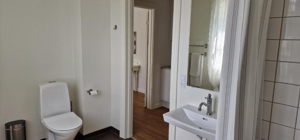 A bathroom with a toilet, sink, and mirror.