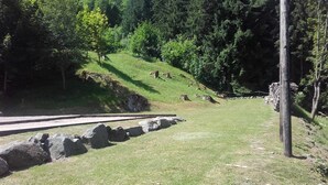 A grassy area with a wooden pathway and rocks, surrounded by trees. - Les Sources (Bussang)