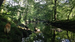 Hiking - Camping au Bois de Calais (Correze)