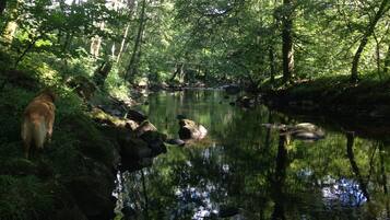 Hiking