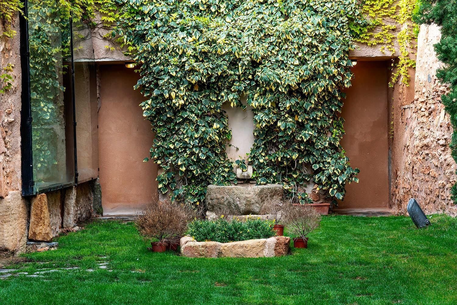 Ein Innenhof mit einer mit Efeu bewachsenen Steinmauer, einem kleinen Felsengarten und einem Blumentopf.