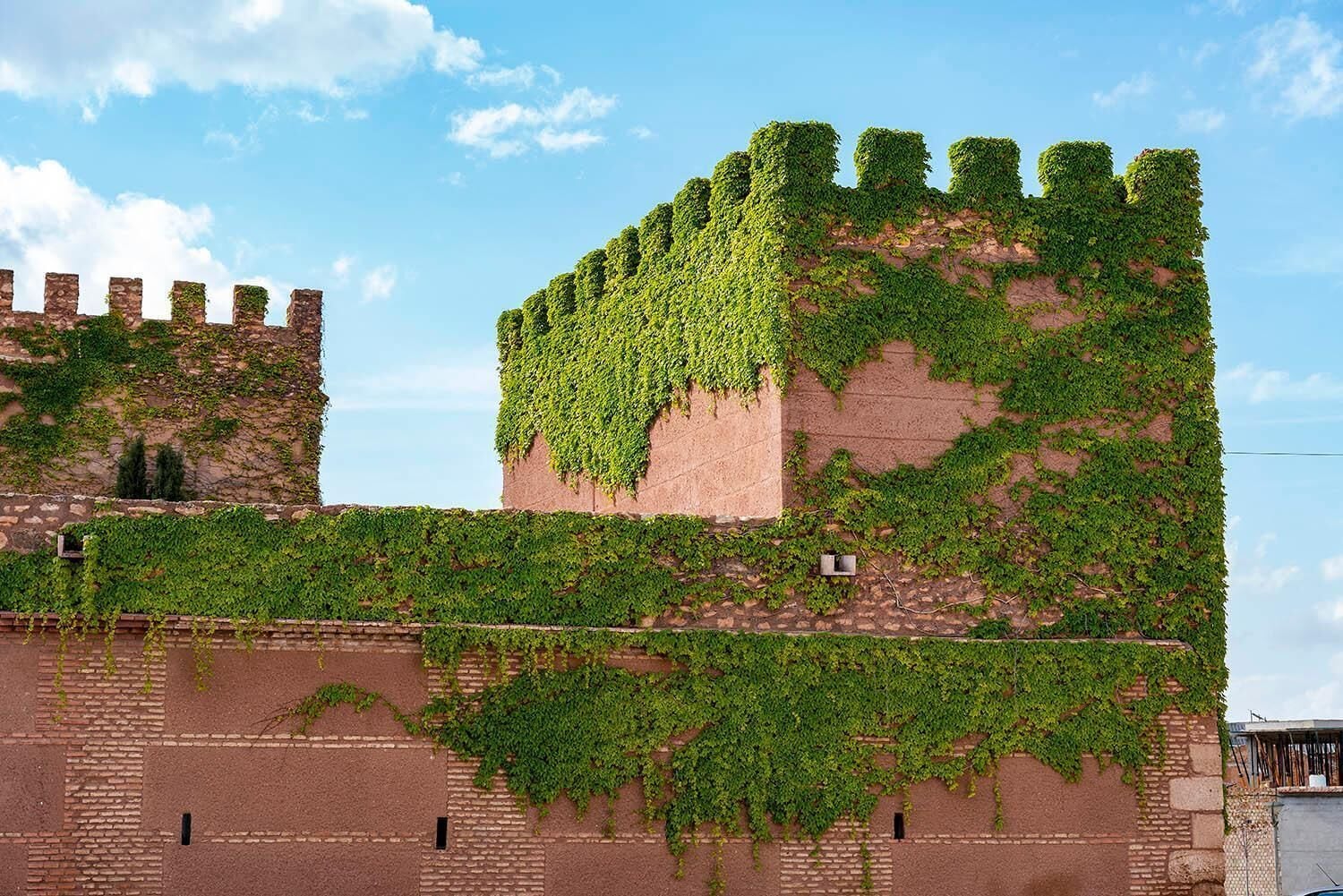 A historic building with ivy-covered walls and a prominent tower.