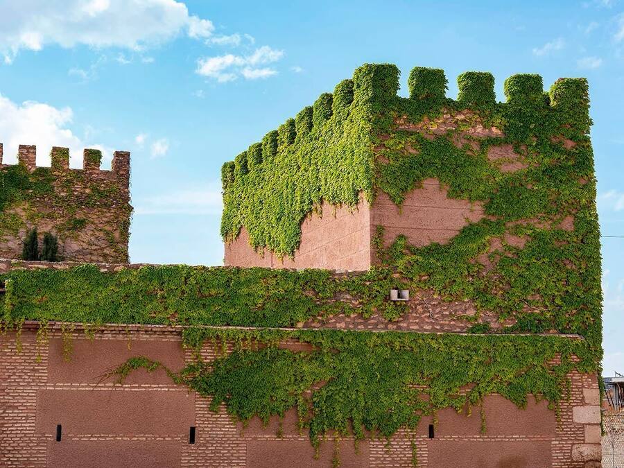 A historic building with ivy-covered walls and a prominent tower.