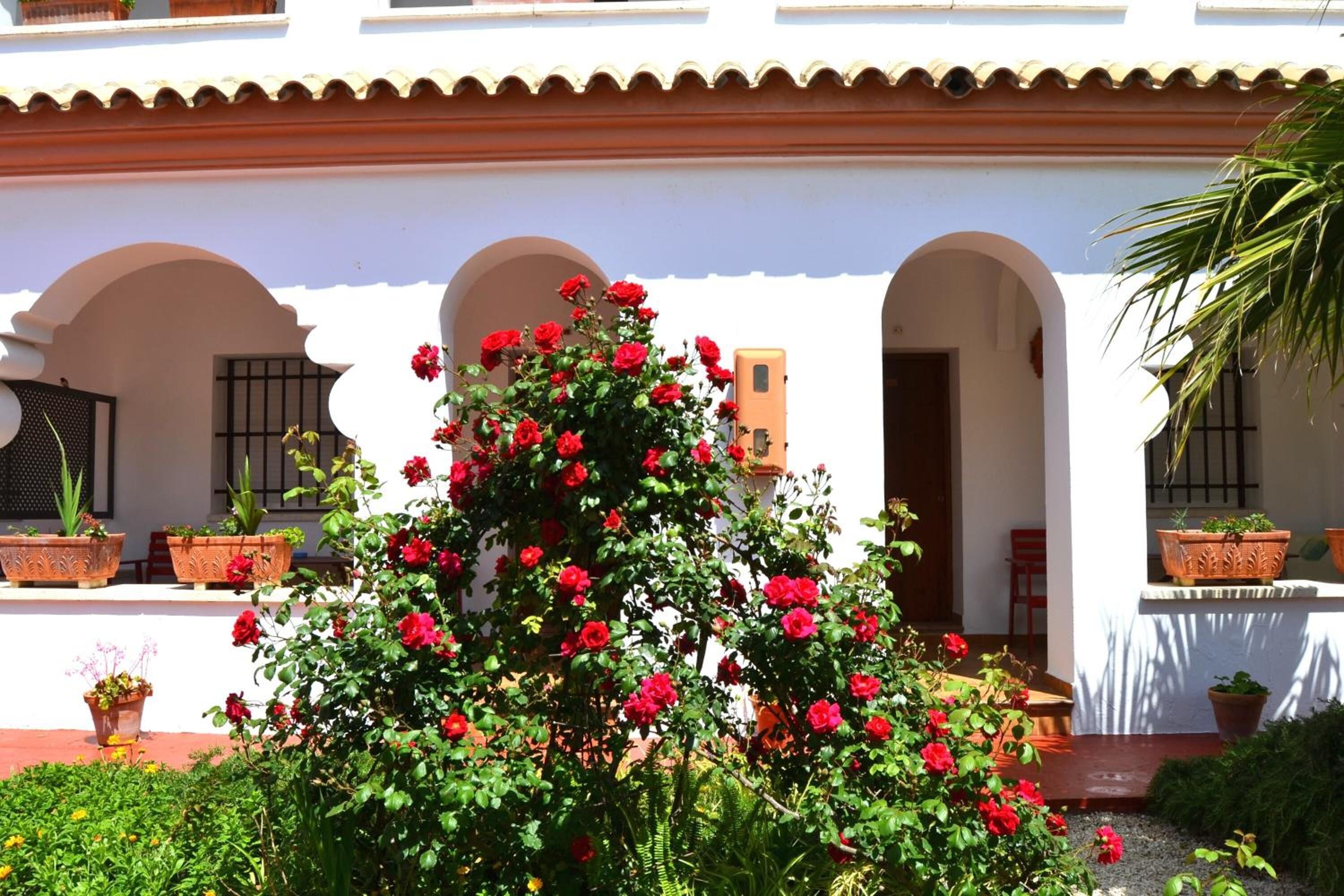 Foto - Hostal Alhambra