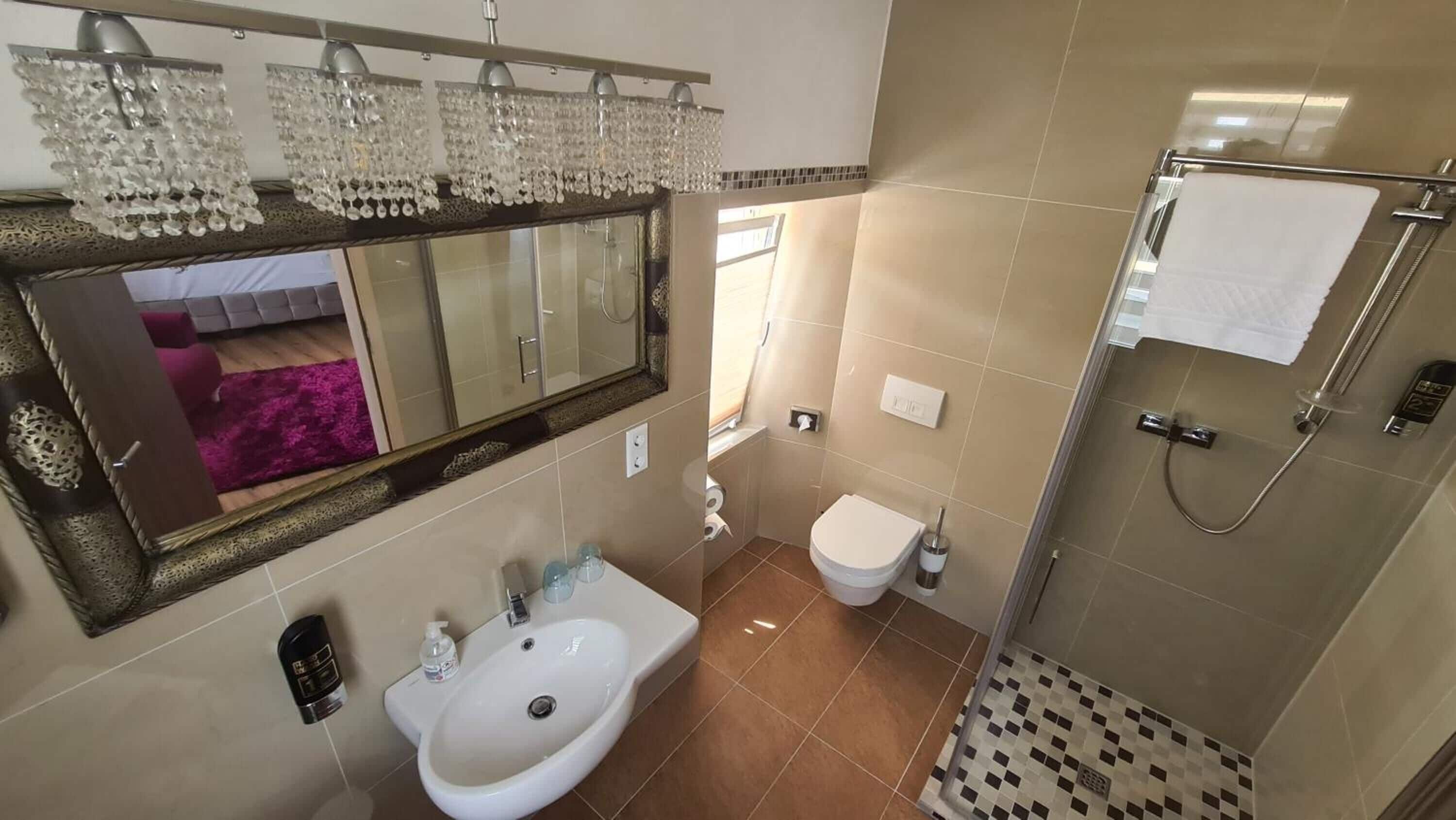 shower, free toiletries, hair dryer, towels