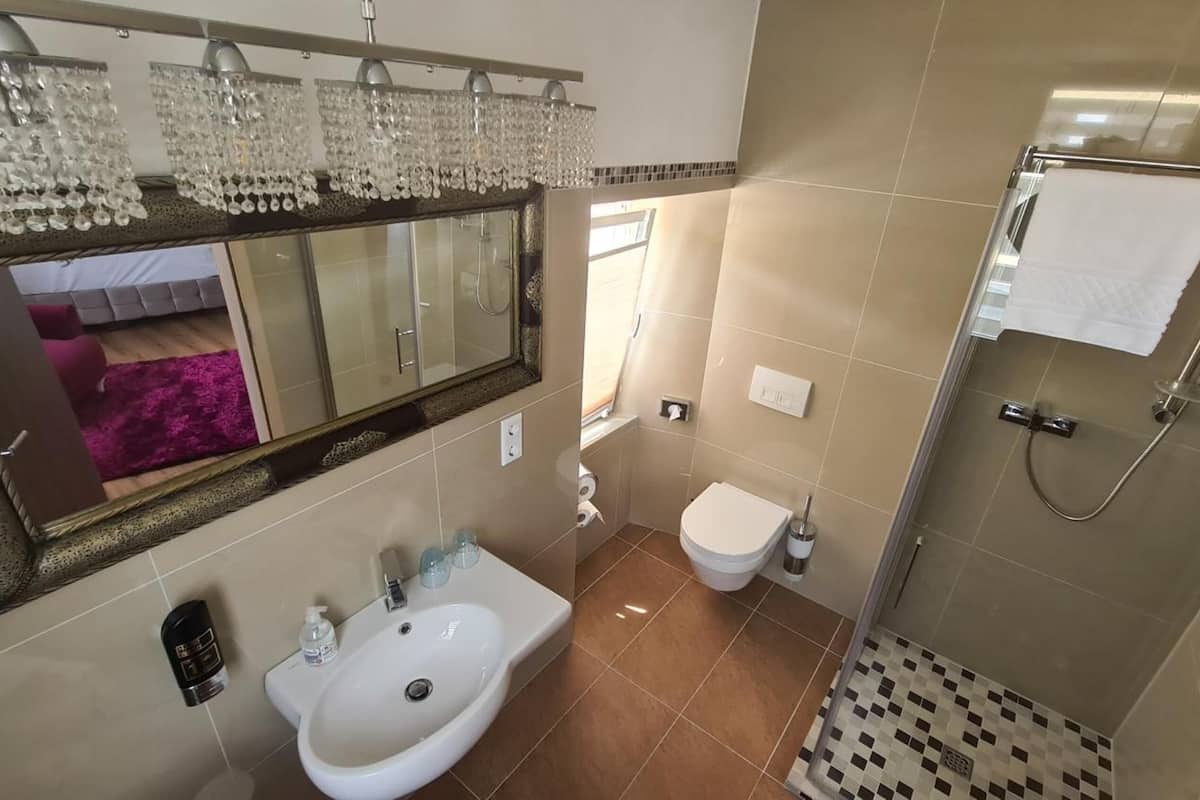 shower, free toiletries, hair dryer, towels