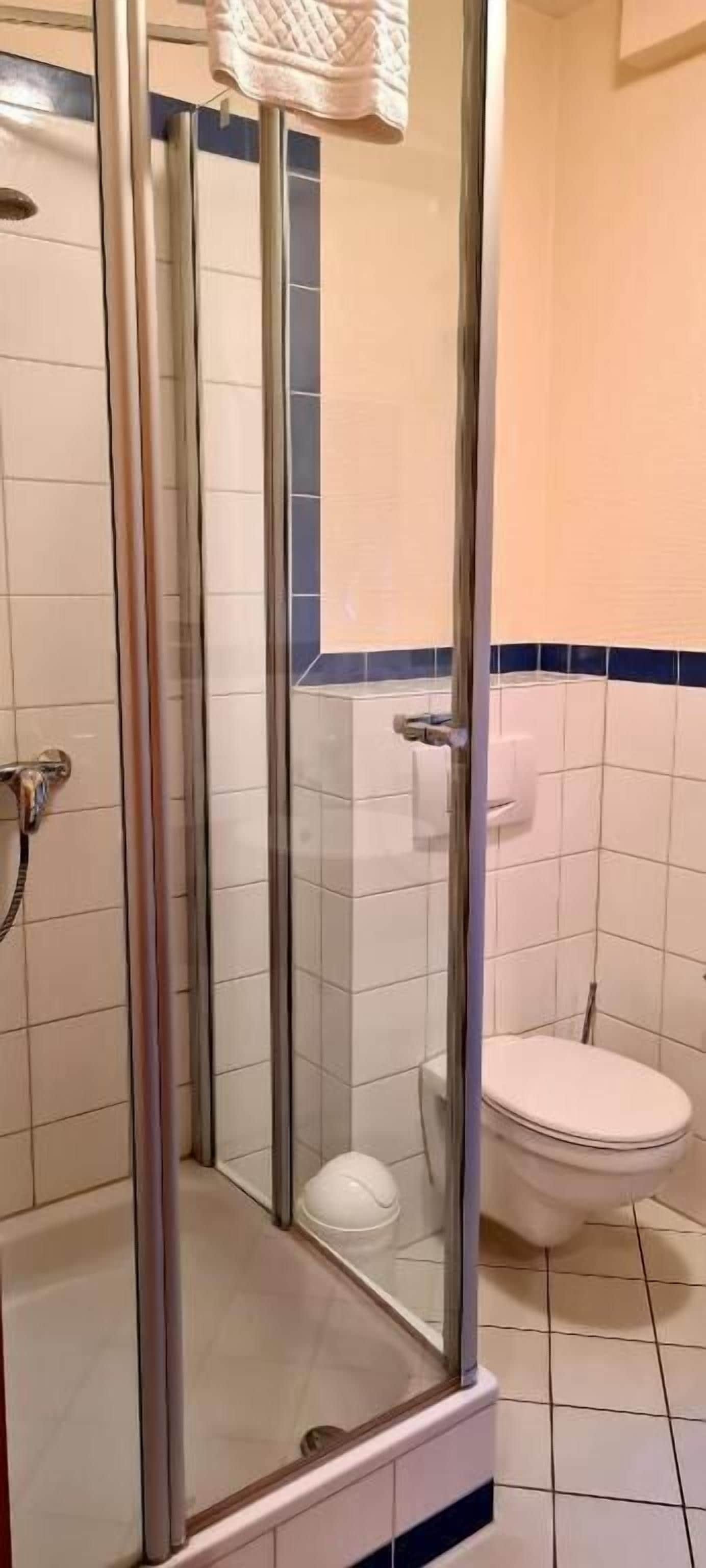 Deluxe Double Room | Bathroom | Shower, hair dryer, towels, soap