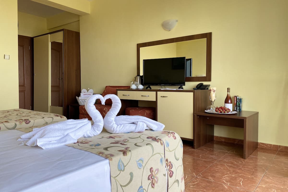 Camera con letto matrimoniale o 2 letti singoli, balcone | Minibar, una scrivania, insonorizzazione, ferro/asse da stiro