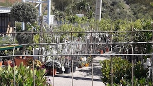 Letrero de un restaurante y alojamiento, rodeado de un jardín con diversas macetas y flores.