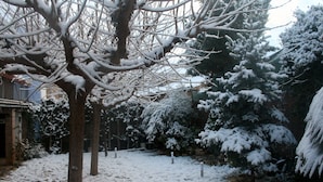 A snow-covered courtyard with trees and a stone pathway. - Hotel la Casona del Solanar (Munebrega)