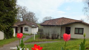 A residential area with two houses, each with a tiled roof and a small garden. There are red and purple flowers in the foreground.