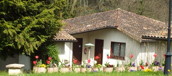 Le Manguier