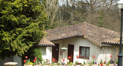 Le Manguier