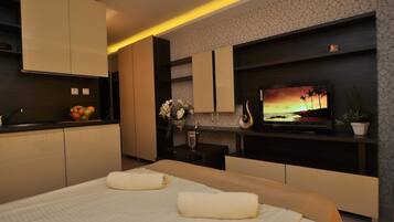 Studio Standard | Coin séjour | Télévision à écran plat de 0 pouces avec chaßnes par satellite