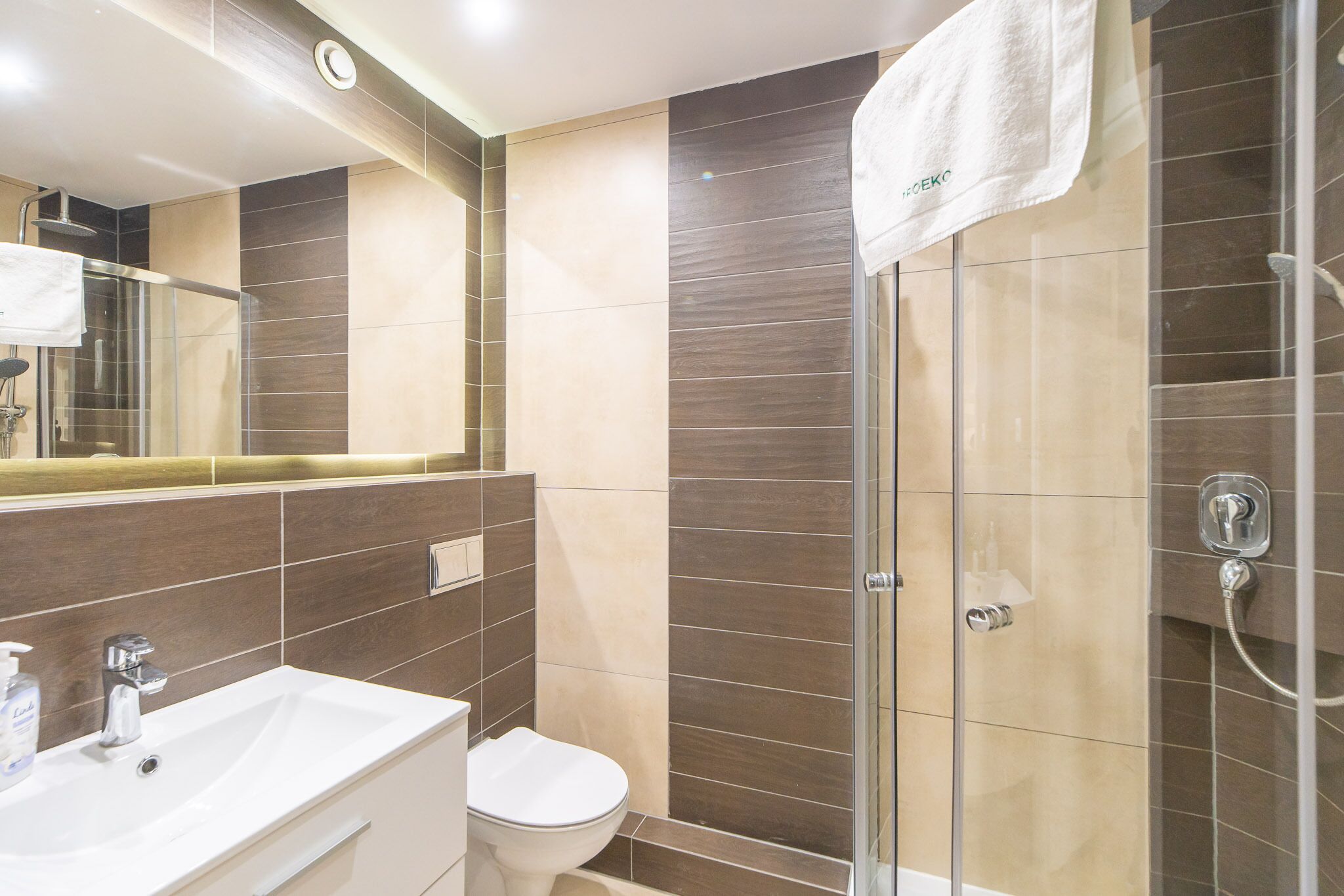 A modern bathroom with a glass shower enclosure, a white sink, and a toilet.