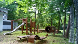 A playground with a slide, climbing structures, and a log tunnel. - Asia Hotel Fujisan (Yamanakako)