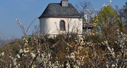 Hofgarten Rosa