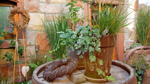Entorno rústico al aire libre con diversas plantas en macetas, un adorno de mimbre y una decoración con forma de corazón sobre un barril de madera.