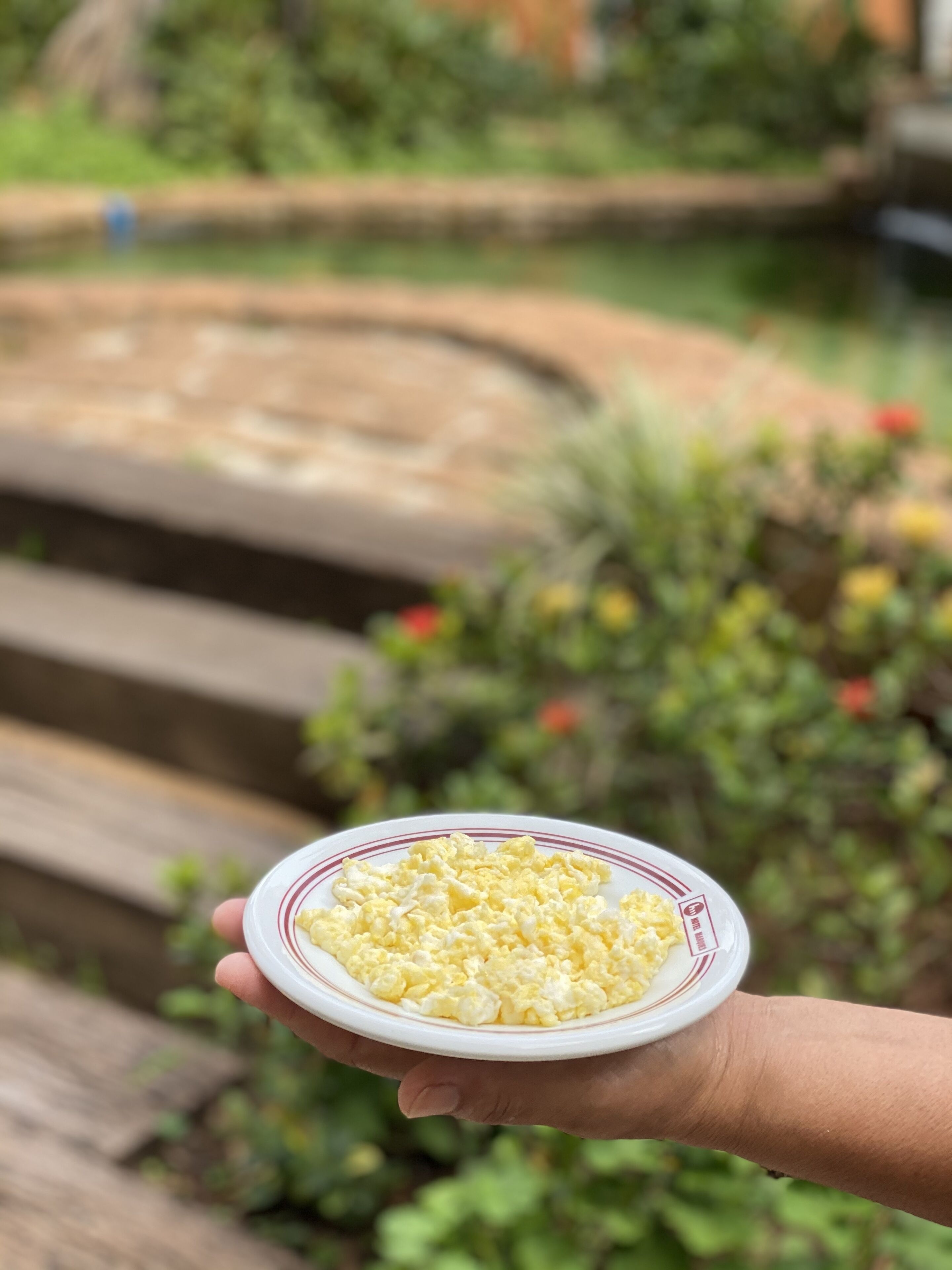 A hand holding a bowl of scrambled eggs.