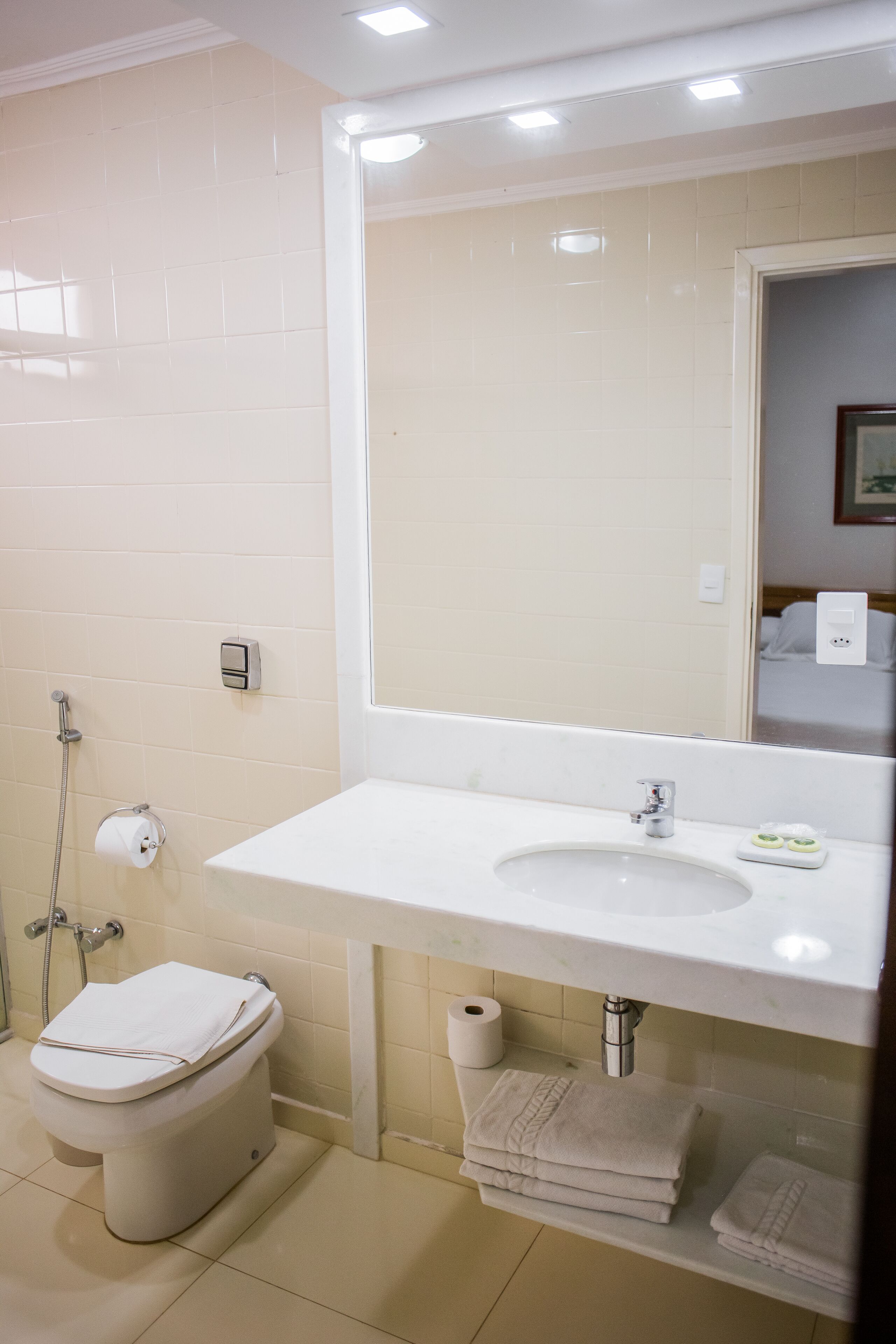 A bathroom with a toilet, sink, and mirror.