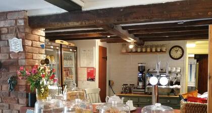 Olive Tree Guest House