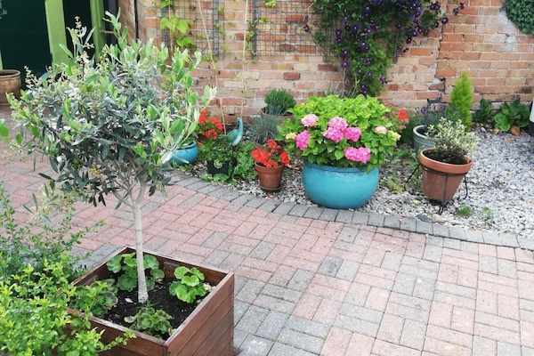 Àrea exterior de l'allotjament