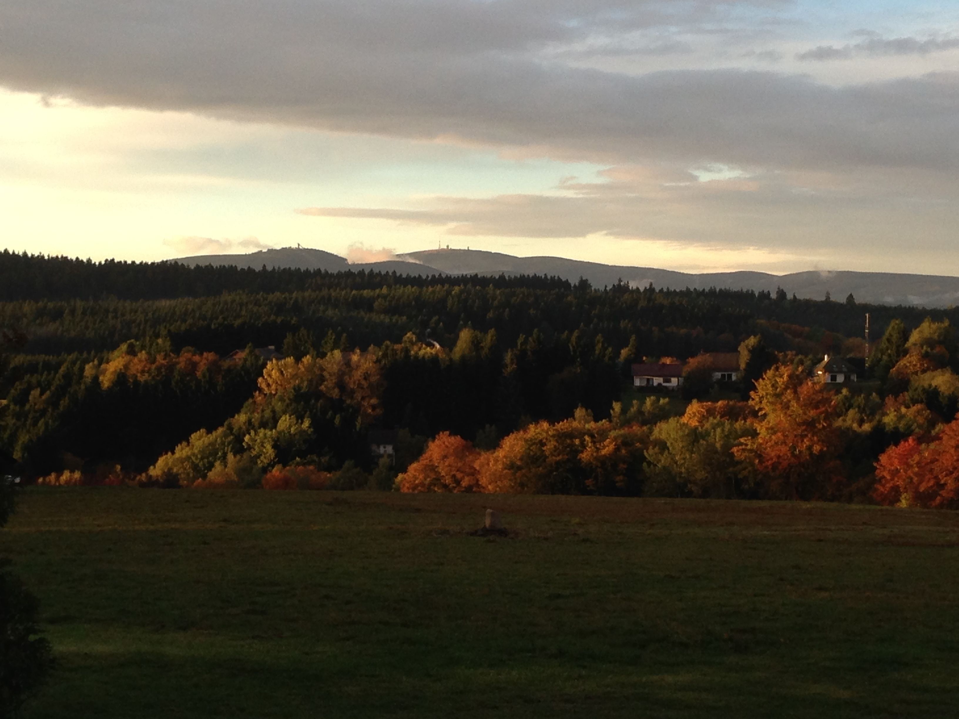 View from property