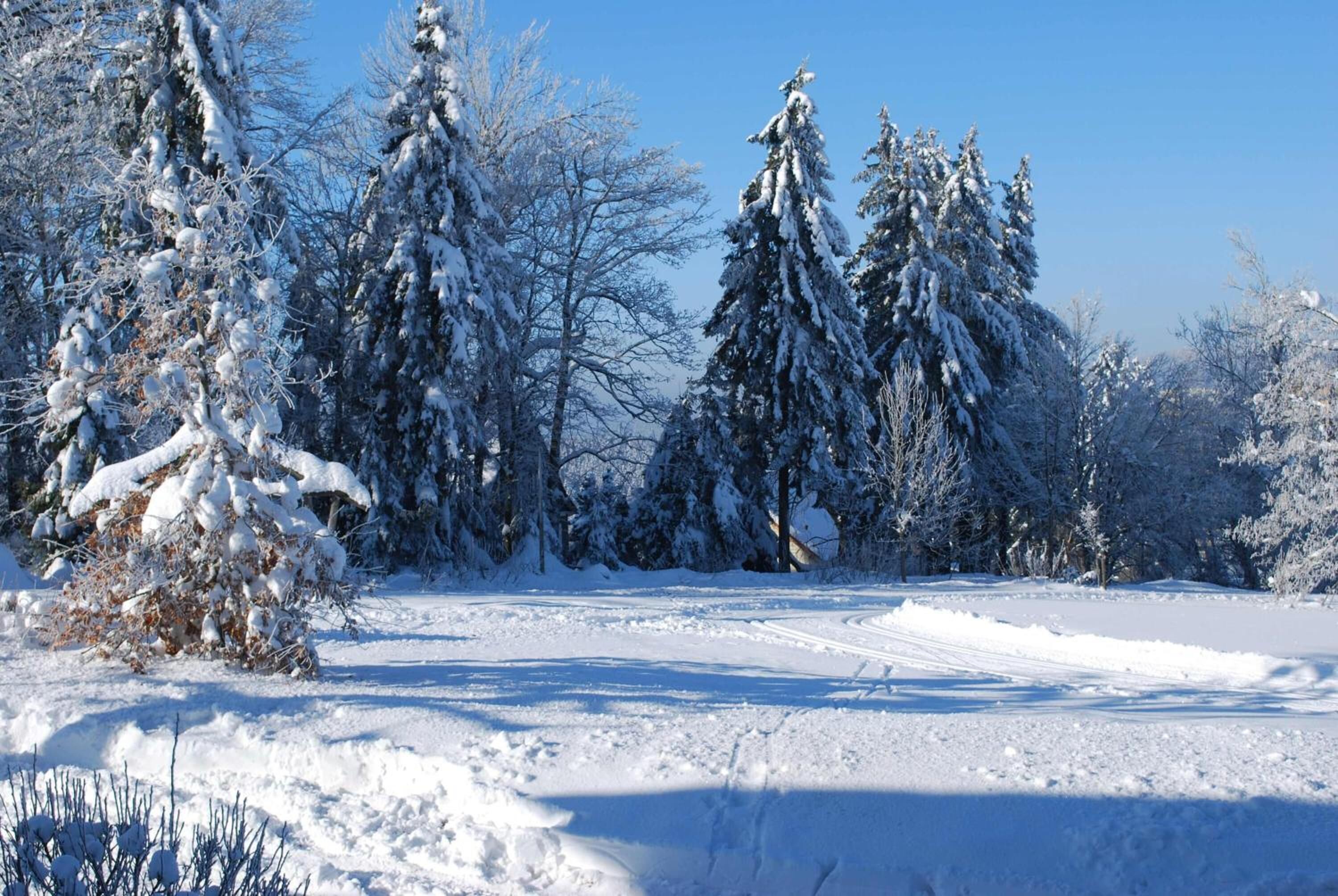 Wintersport/Ski