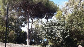 Standard Quadruple Room | View from room