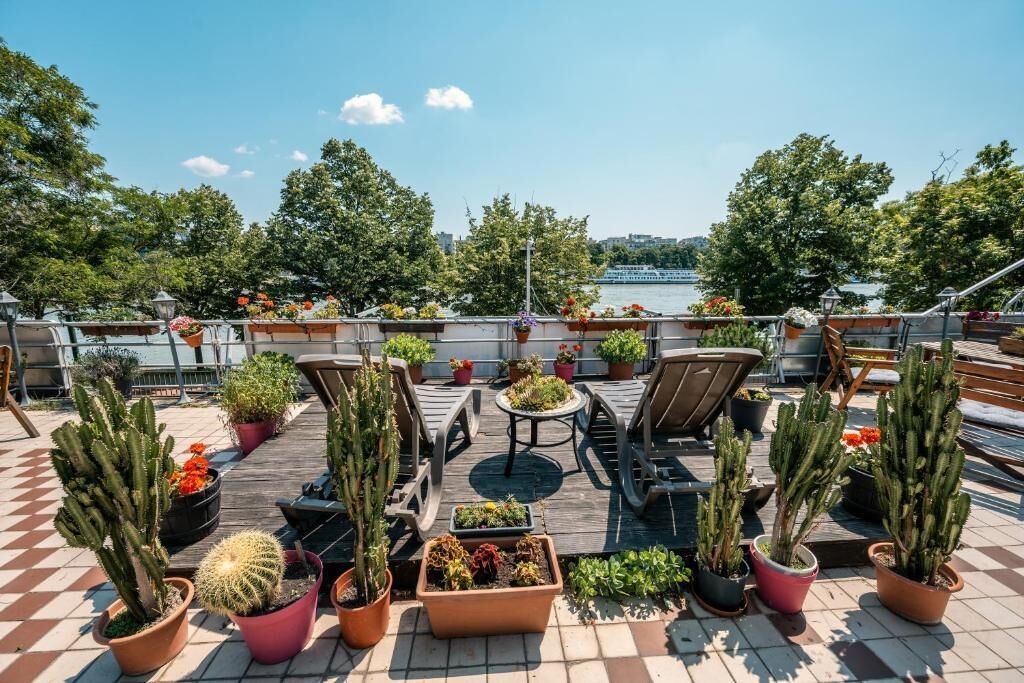 Une terrasse sur le toit, agrémentée de cactus en pot, d’une table et de deux chaises.