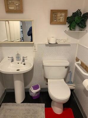 A bathroom with a white sink, toilet, and bidet. There is a mirror above the sink, a small shelf with toiletries, and a potted plant on the wall.