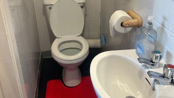 Un baño pequeño con inodoro, lavamanos y una alfombra roja.