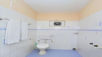Double or Twin Room | Bathroom | Free toiletries, towels