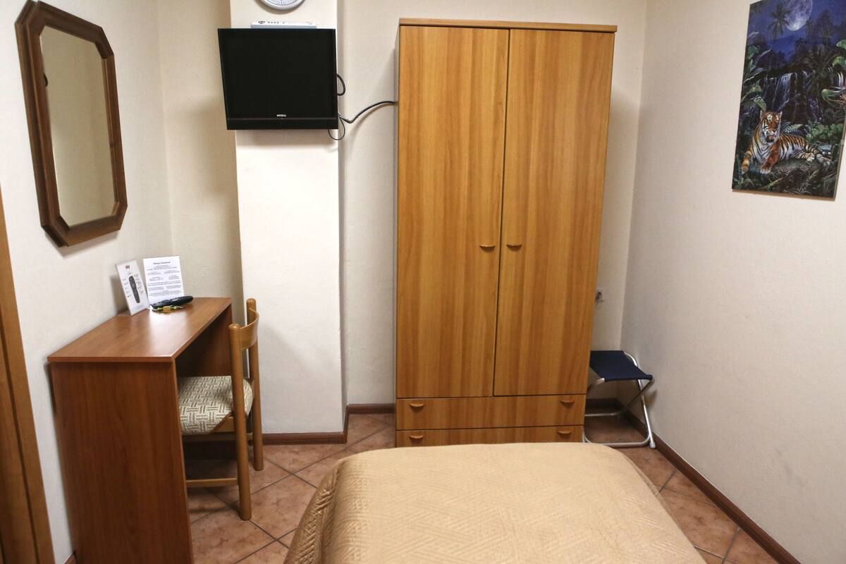 Deluxe Single Room | Down comforters, desk, cribs (surcharge), WiFi (free)