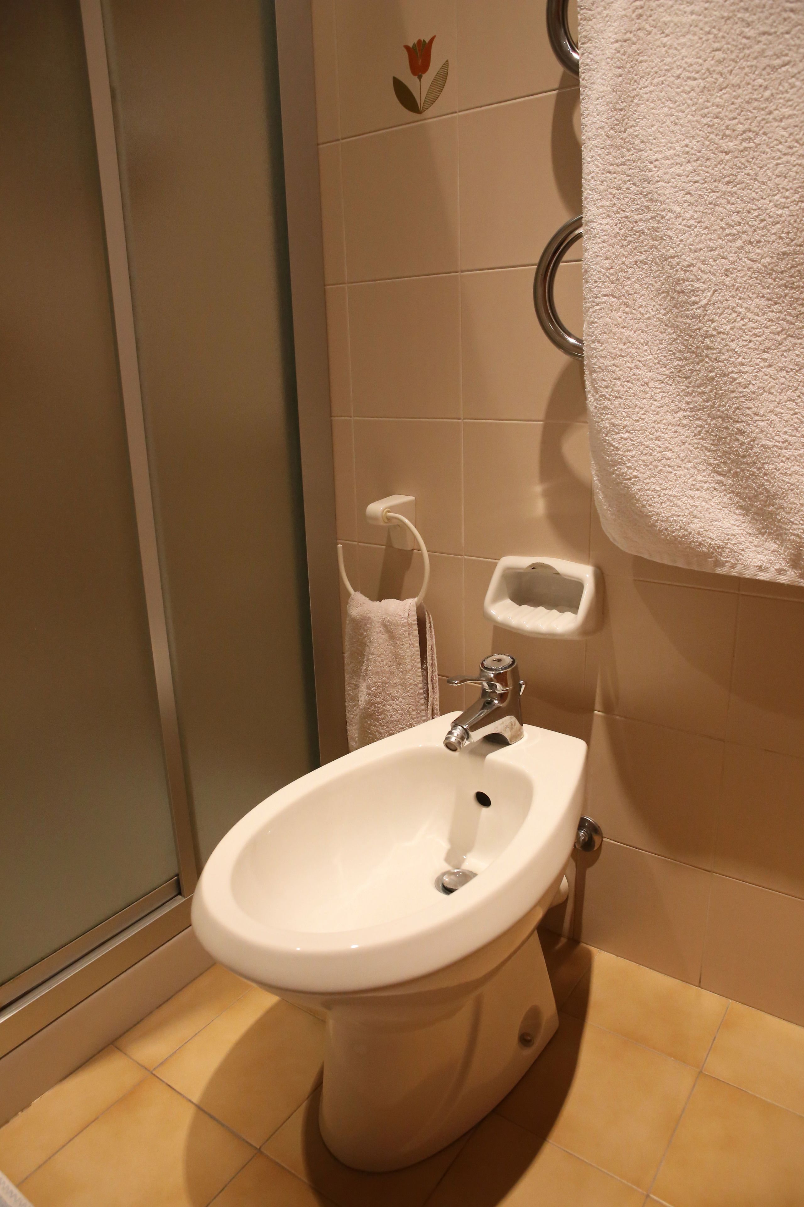 shower, free toiletries, hair dryer, bidet