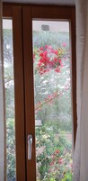 Vista desde la habitación