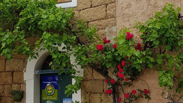 Un edificio de piedra con una ventana y una puerta, rodeado de follaje y flores rojas.