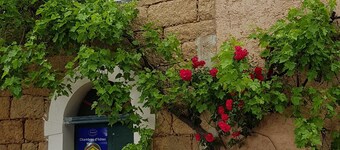 L'Orca Di San Gavinu