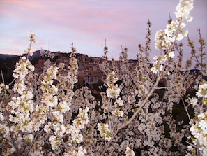 A view of a town with buildings in the background and flowering trees in the foreground. - Ca Les Barberes (Pauls)